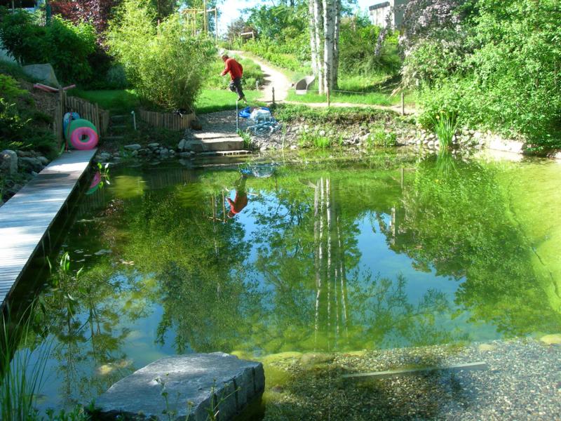 Schwimmteich